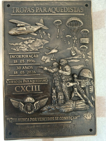 Peça em bronze feita no processo de escultura e fundição de 25 x 30 cm